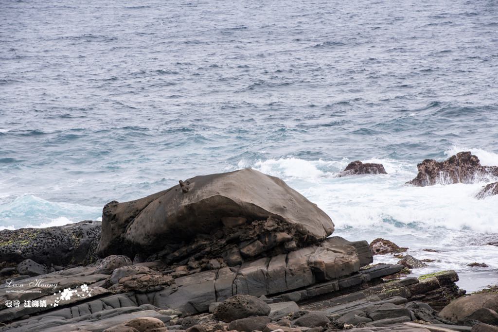 dsc_0415_1-14