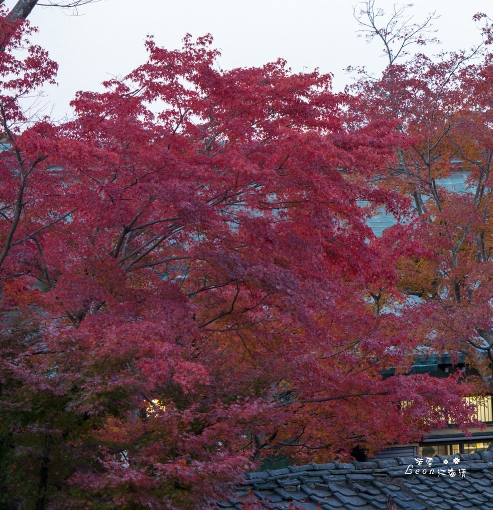 dsc_0415_1-63