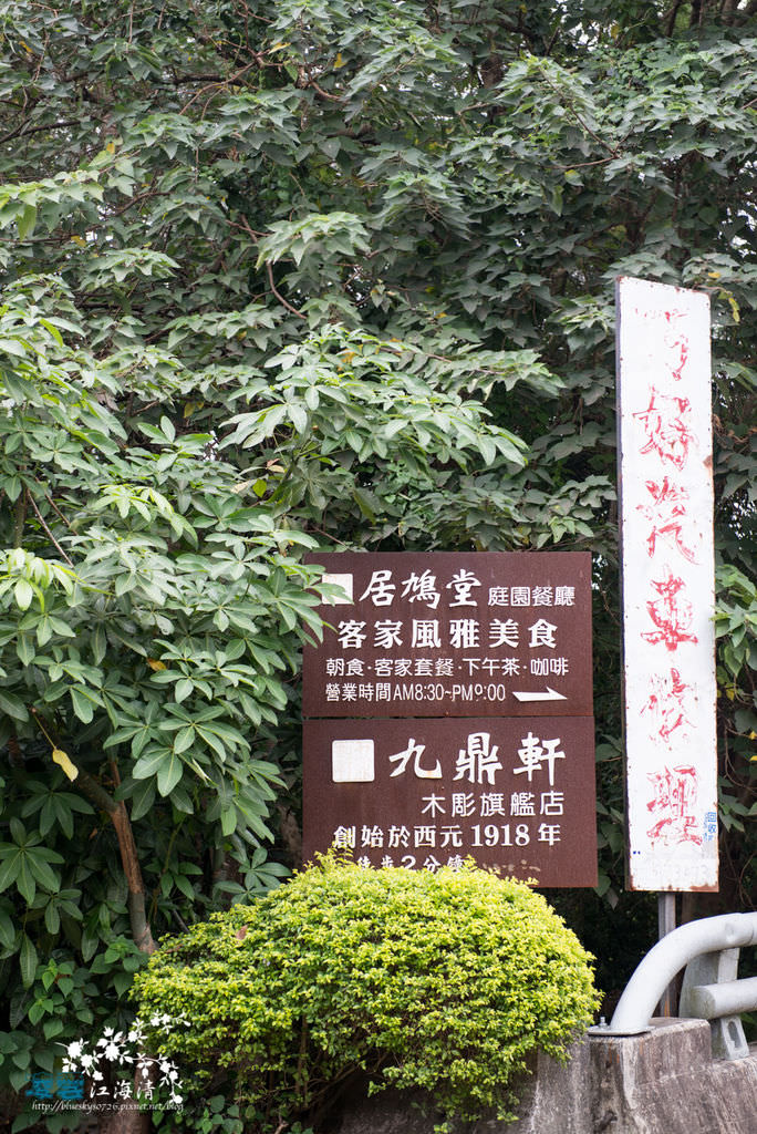 DSC_1503.jpg