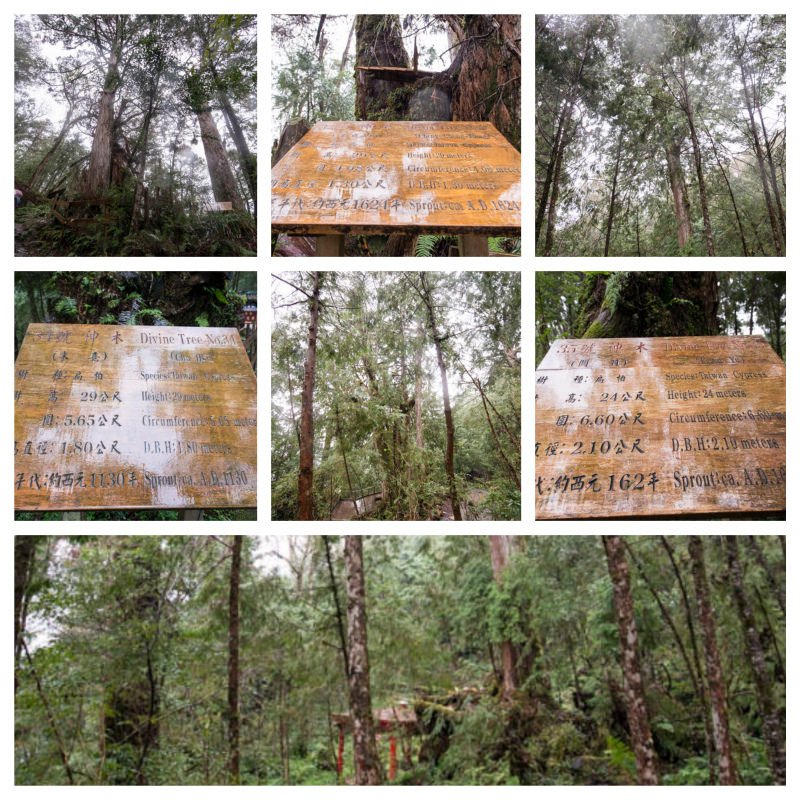 DSC_5828_Fotor_Collage.jpg