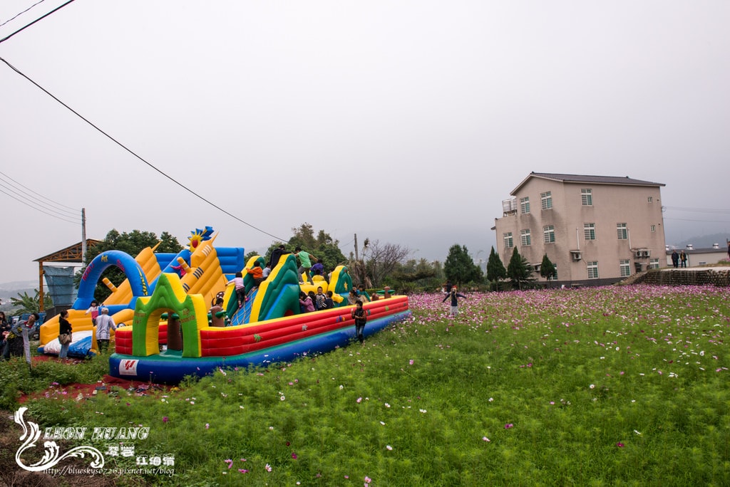 DSC_1487.jpg