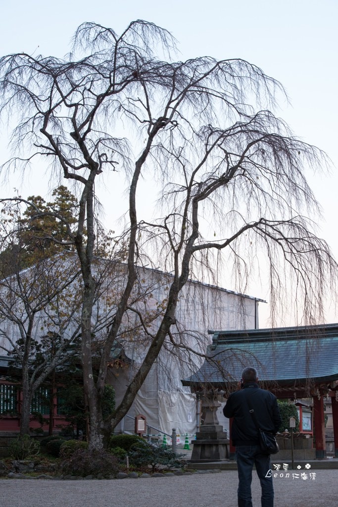 dsc_0415_1-57
