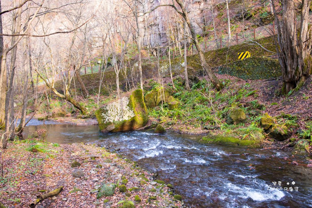 dsc_0415_1-10