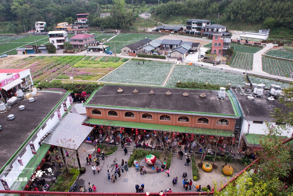 dsc_0415_1-7