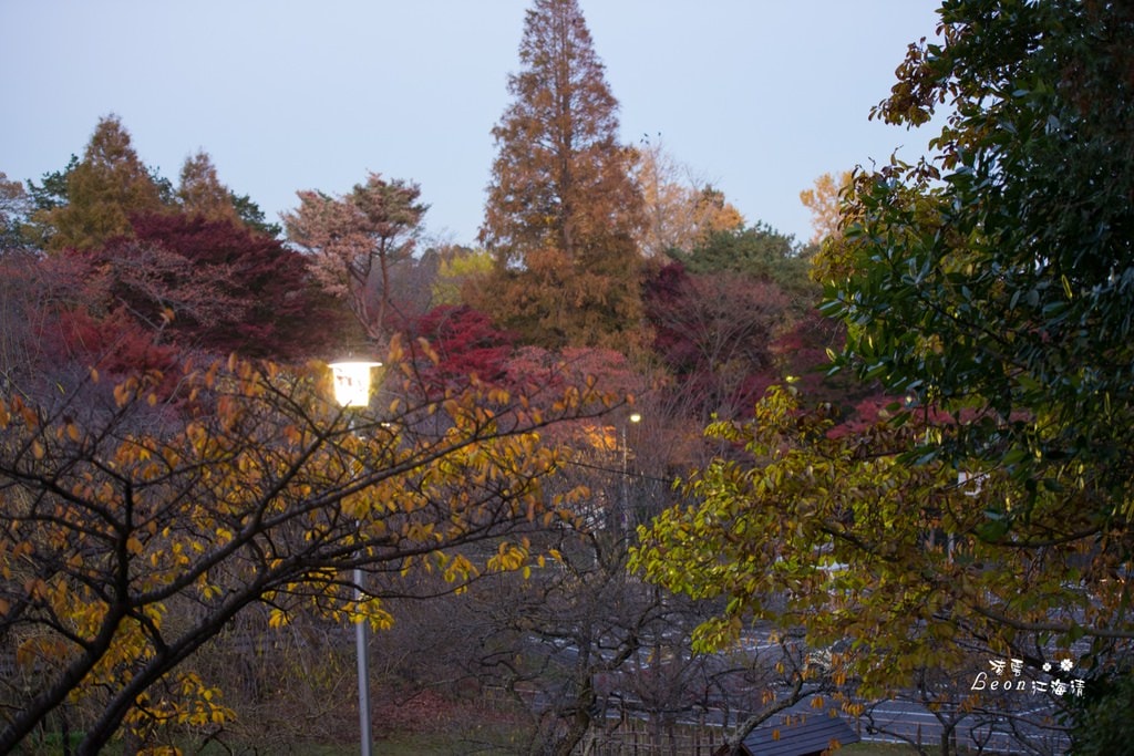 dsc_0415_1-76