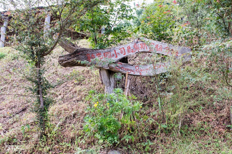 DSC_7606.jpg