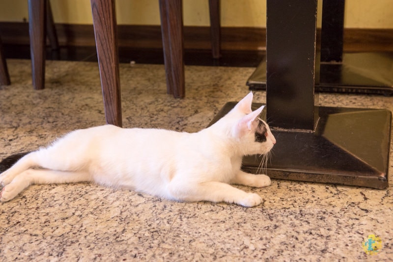 DSC_1574.jpg