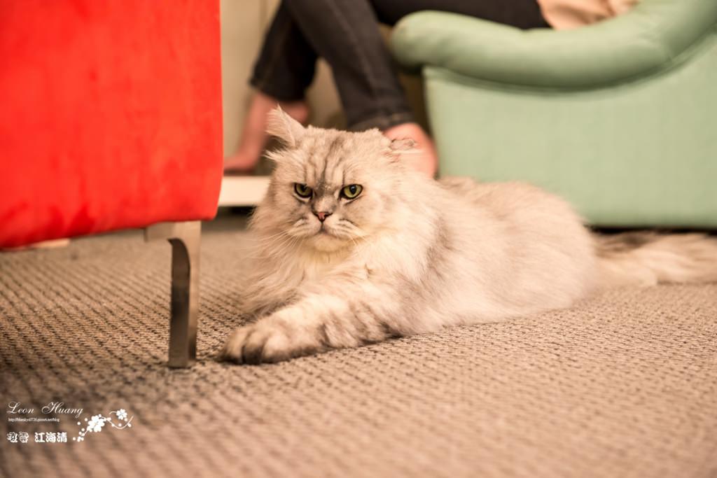 DSC_8278.jpg