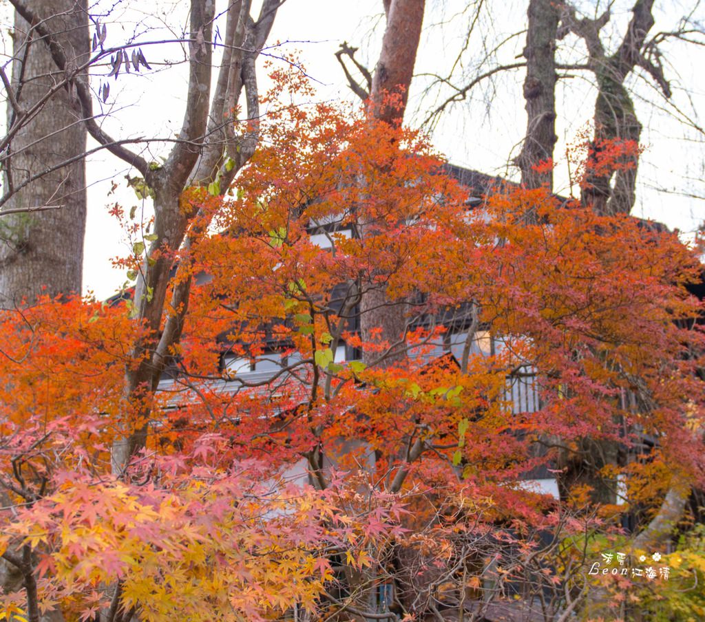 dsc_0415_1-5