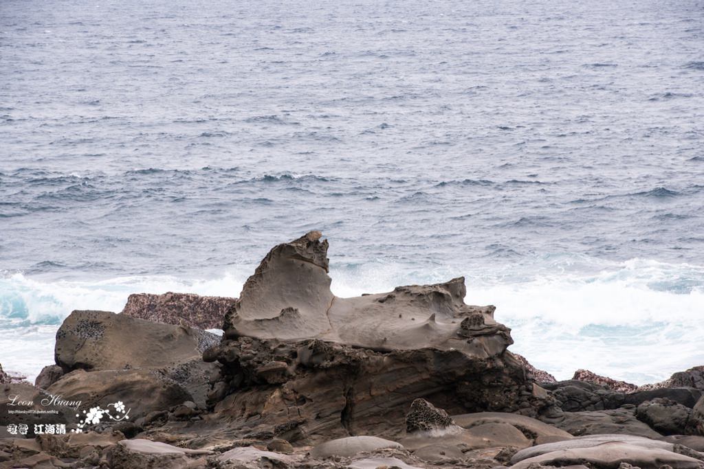 dsc_0415_1-18