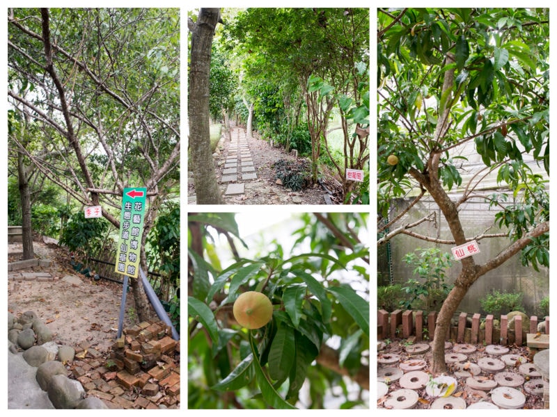 DSC_8619_Fotor_Collage.jpg