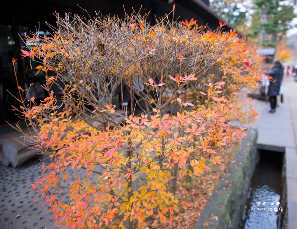 dsc_0415_1-7