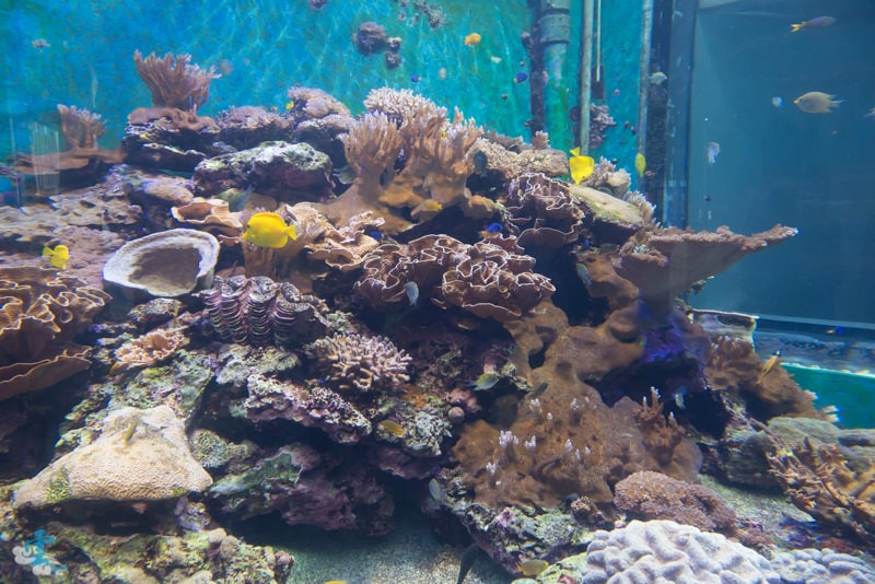 DSC_8190.jpg