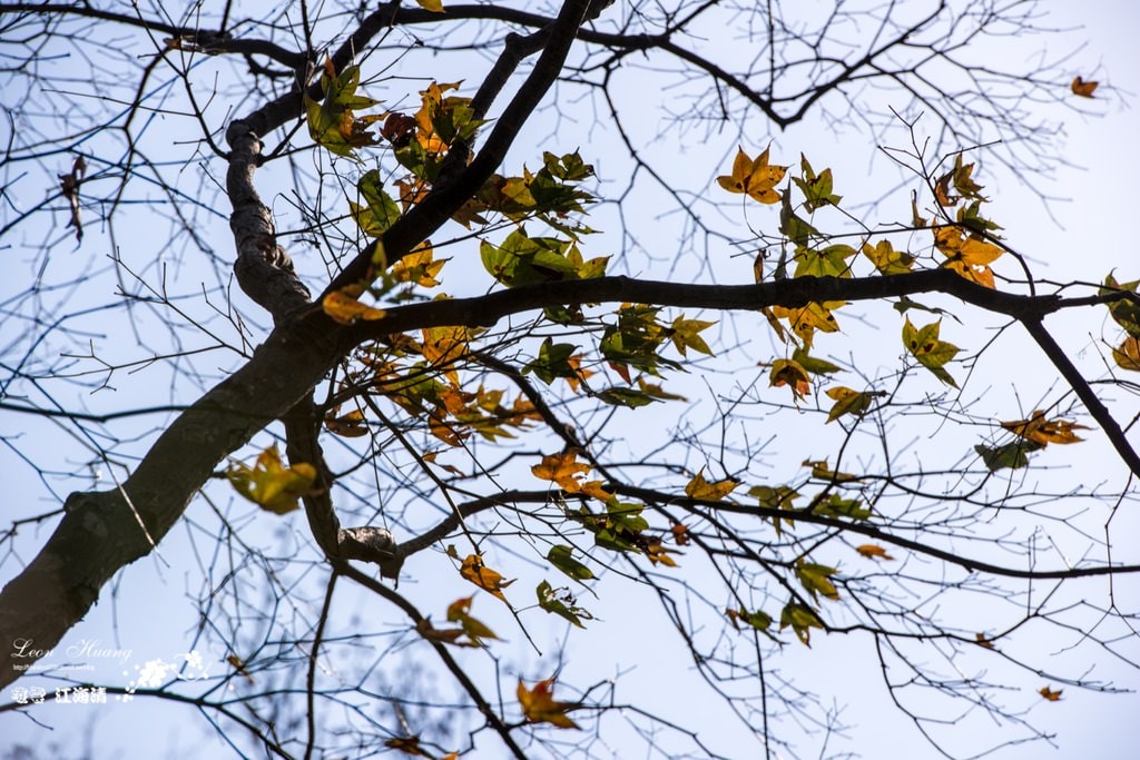 dsc_0415_1-30-2
