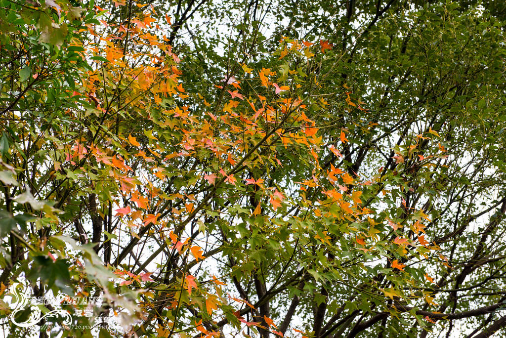DSC_2112.jpg
