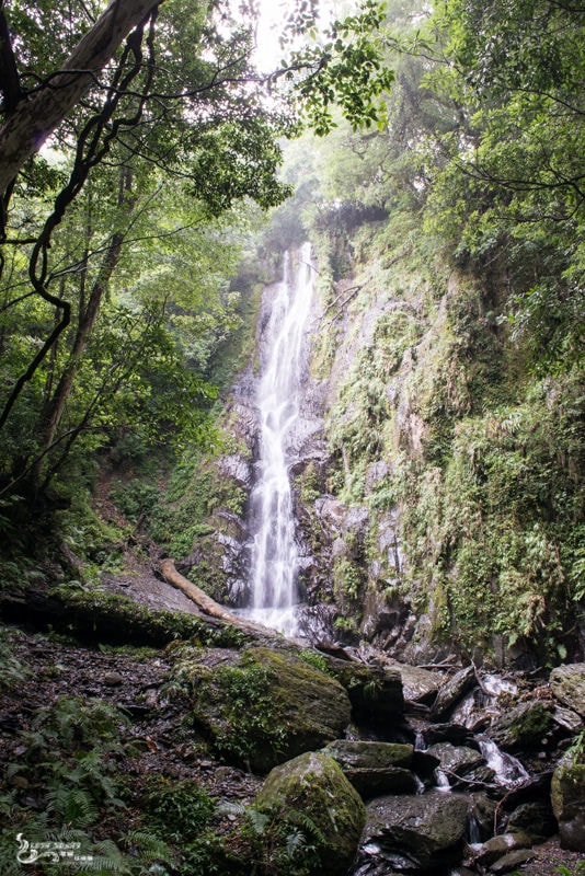 DSC_7580.jpg
