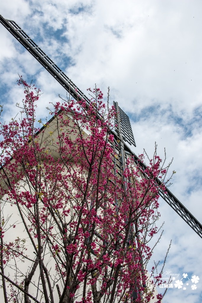 dsc_0415_1-15