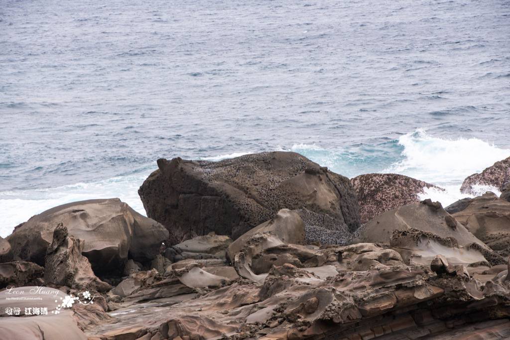 dsc_0415_1-19