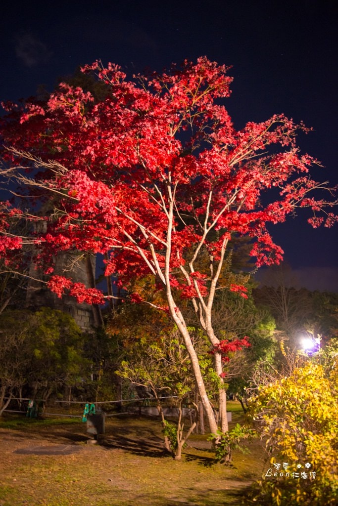 dsc_0415_1-6