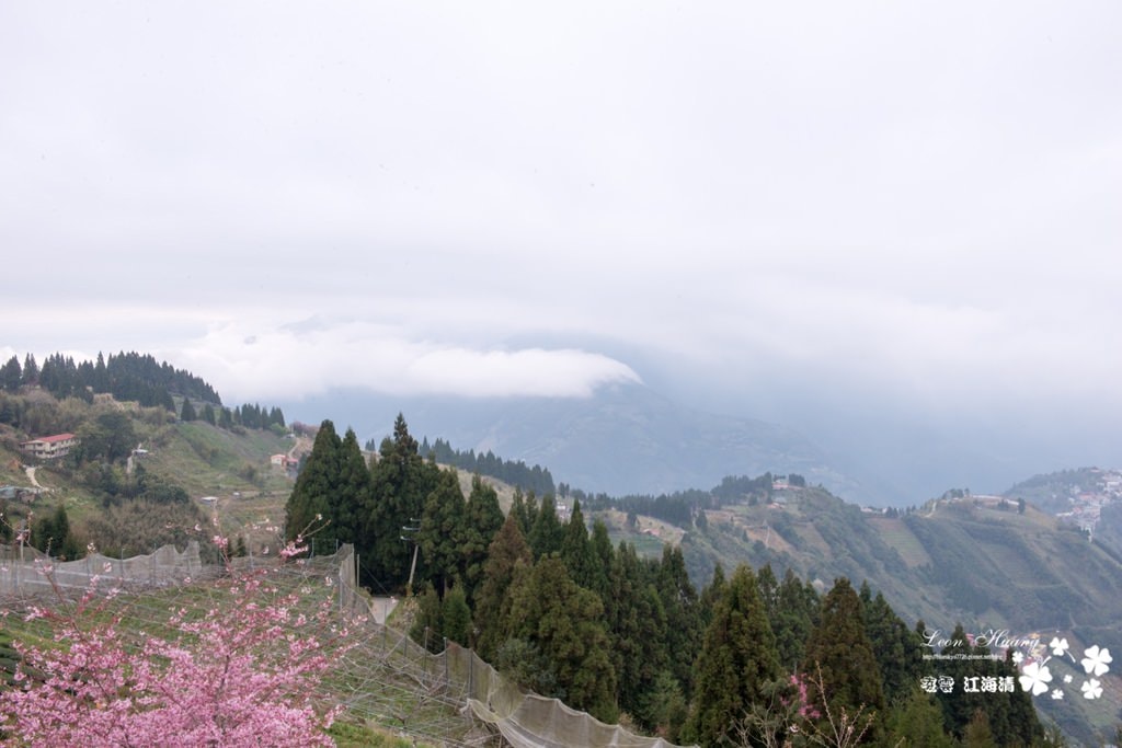dsc_0415_1-35