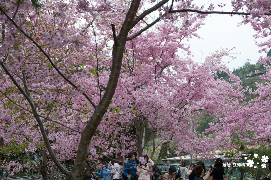 dsc_0415_1-19