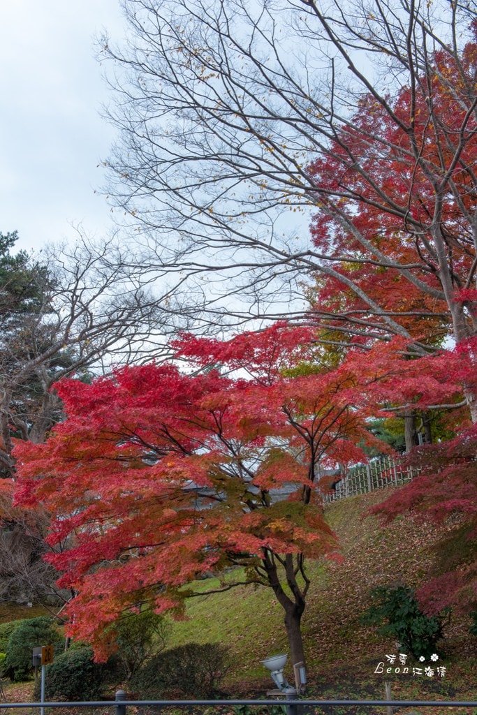 dsc_0415_1-63