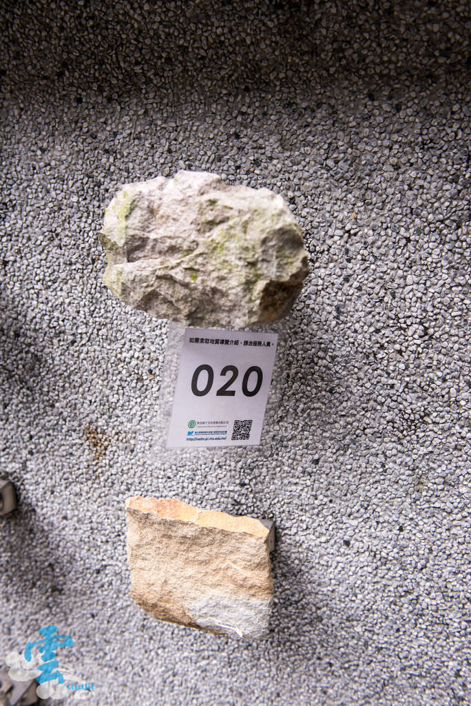 DSC_1914.jpg