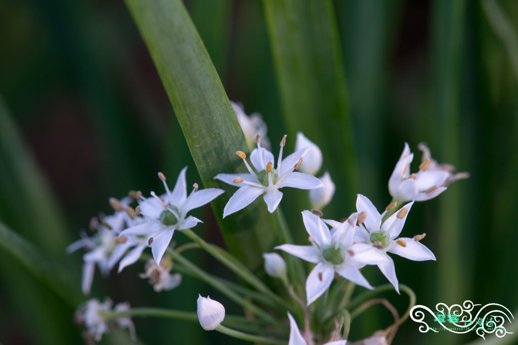 DSC_9983.jpg