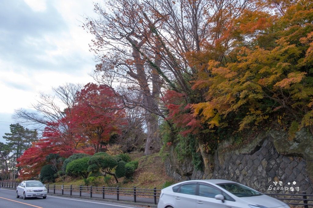 dsc_0415_1-58
