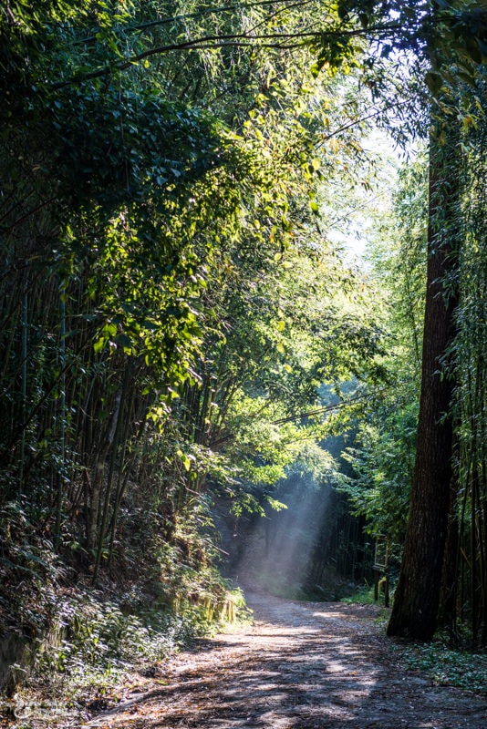 DSC_7703