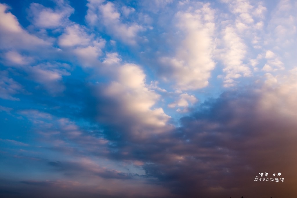 dsc_0415_1-8
