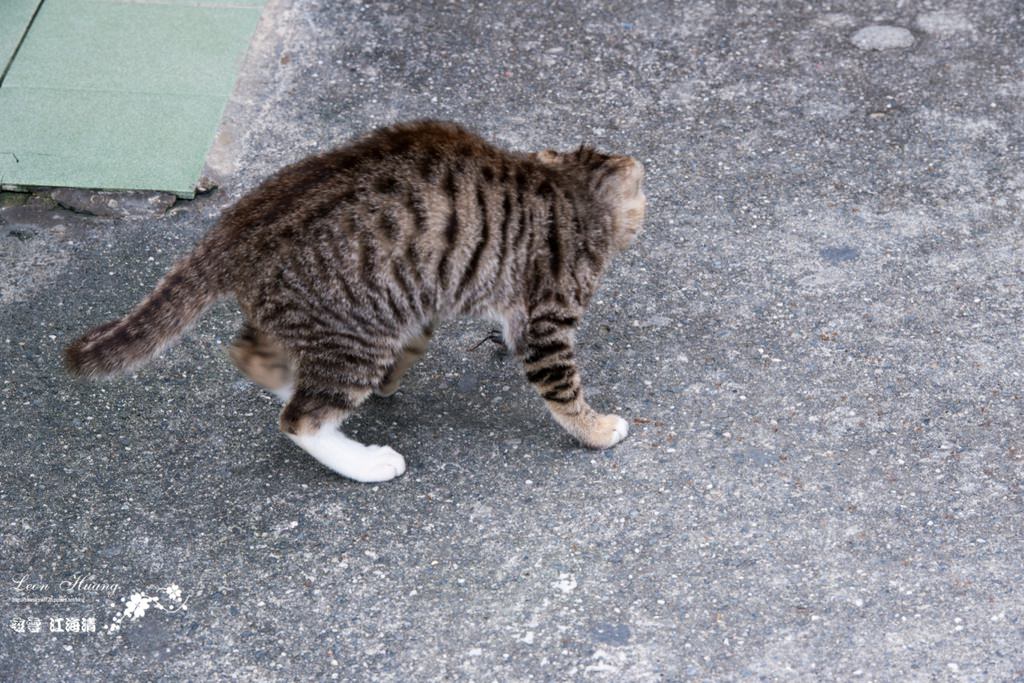 dsc_0415_1-33