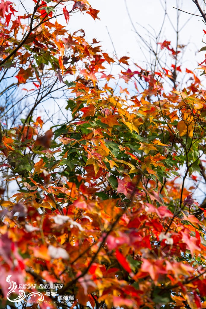DSC_2057.jpg