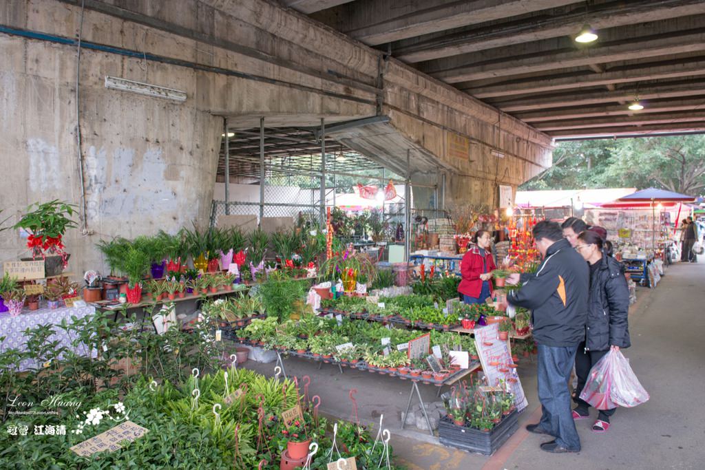 dsc_0415_1-5