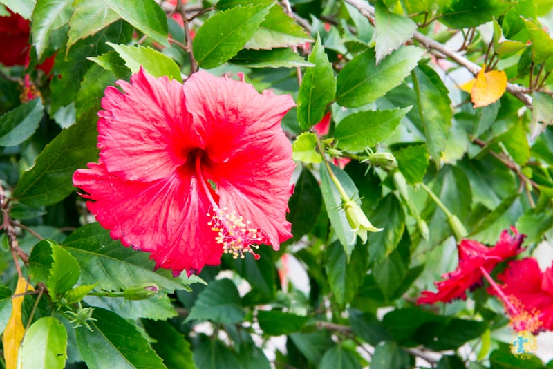 DSC_8728.jpg