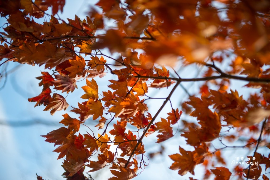dsc_0415_1-34