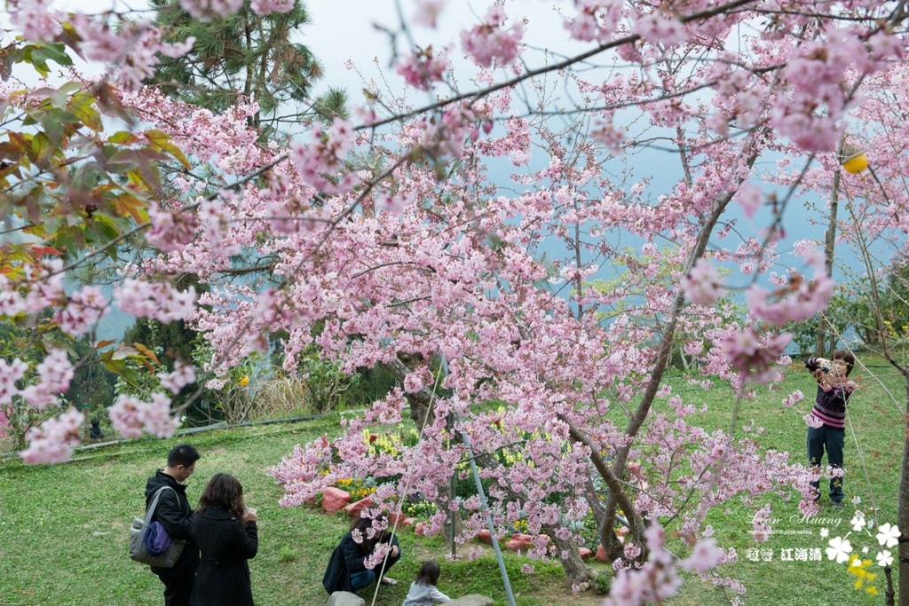 dsc_0415_1-36