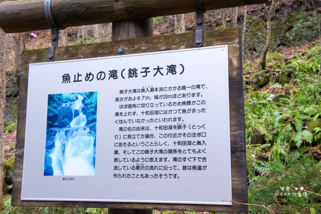 dsc_0415_1-5