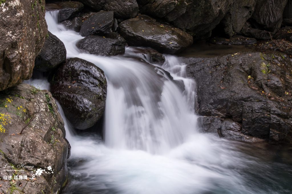 dsc_0415_1-16